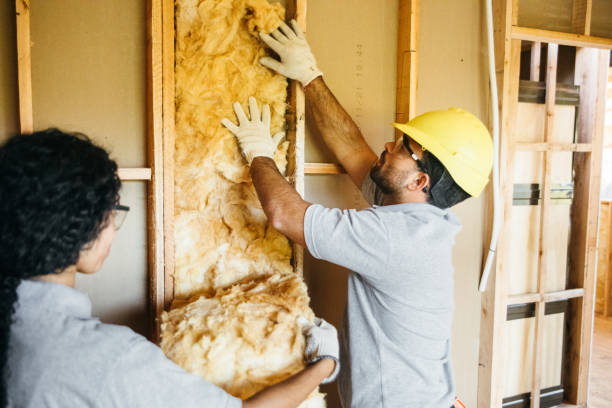 Eco-Friendly or Green Insulation Solutions in Meadowbrook, CA